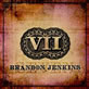 Brandon Jenkins - XVII