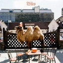 Wilco - The Album